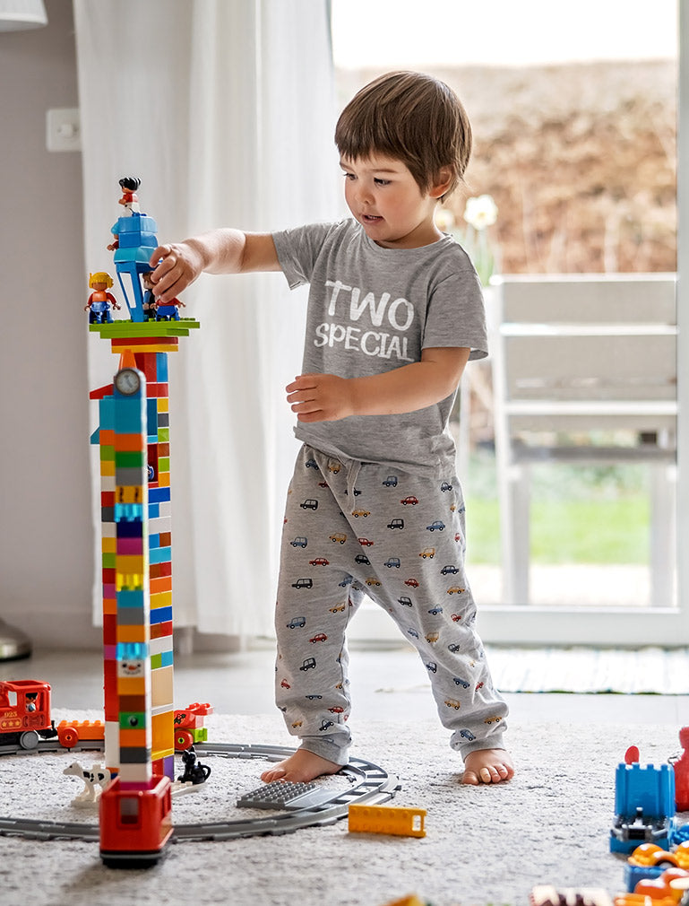 2 year old birthday shirt boy 2nd birthday two special Toddler Kids T-Shirt