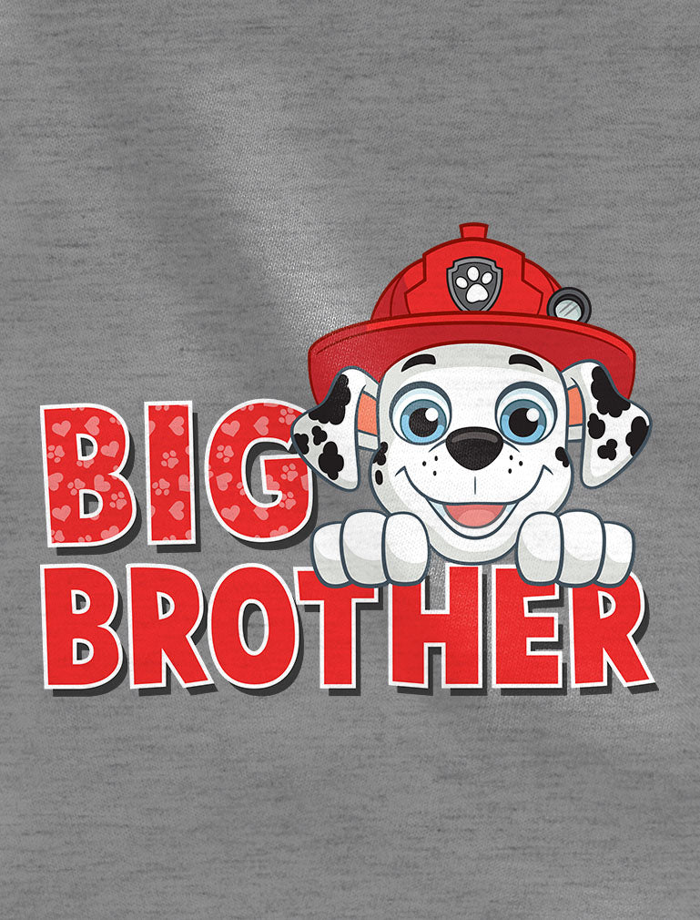 Paw Patrol Marshall Big Brother Little Brother Matching Outfits Shirts for Boys