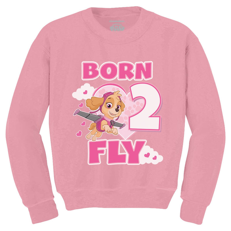 Birthday Girl Paw Patrol Skye Born 2 Fly 2nd Birthday Toddler Kids Sweatshirt