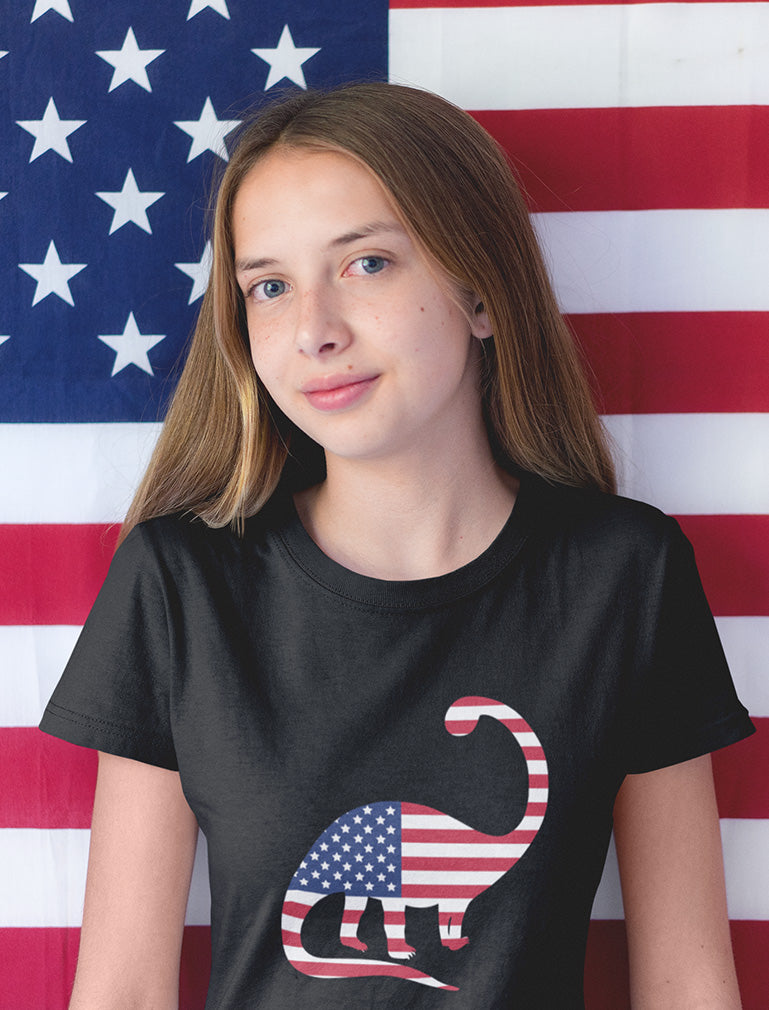 Dinosaur American Flag Youth Kids T-Shirt - Gray 9