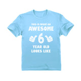 This Is What an Awesome 6 Year Old Looks Like T-Shirt 