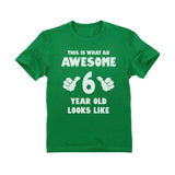 This Is What an Awesome 6 Year Old Looks Like T-Shirt 