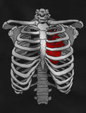 Thumbnail Skeleton Rib Cage Xray T-Shirt Black 2