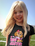 Thumbnail Paw Patrol Skye Big Sister Little Sister Matching Outfits Shirts for Girls Kid Gray / Baby Gray 4