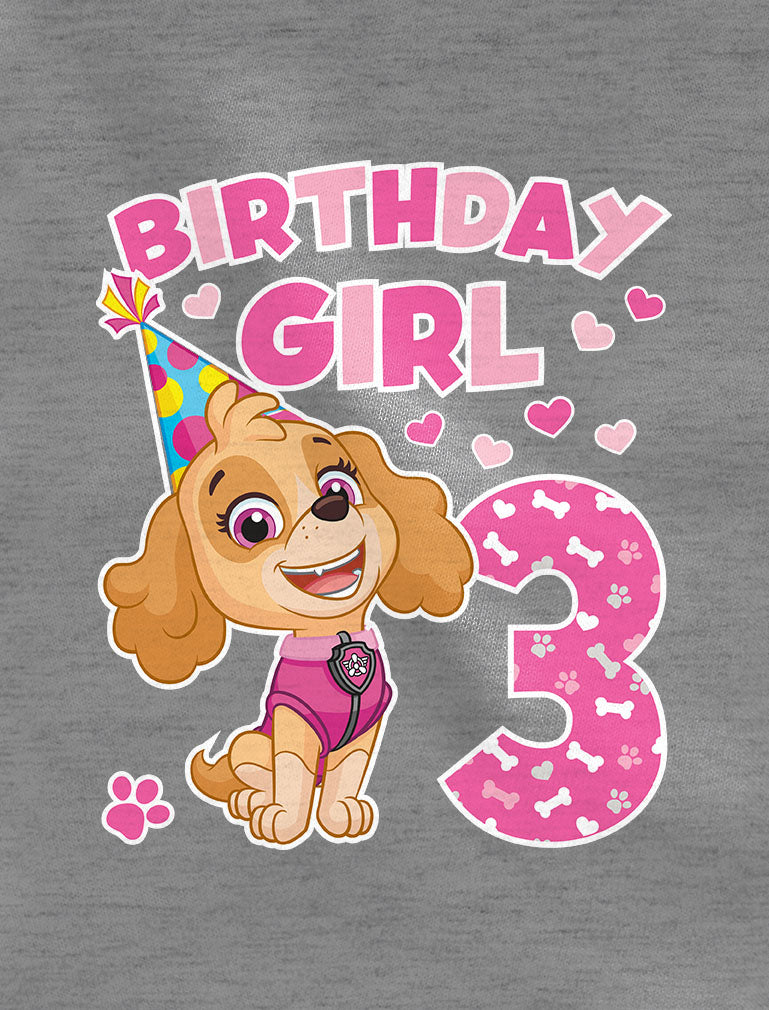 Birthday Girl Paw Patrol Skye Tstars Toddler 3rd Hoodie Birthday –
