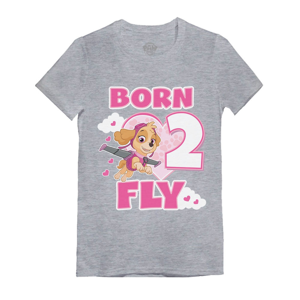 Paw Patrol Skye Born 2 Fly 2nd Birthday Girls' T-Shirt - Gray 4